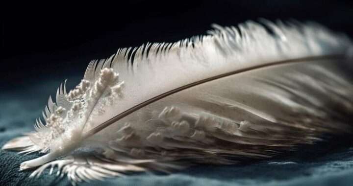 White Feather Spiritual Meaning