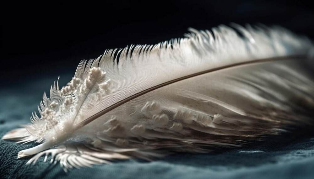 White Feather Spiritual Meaning