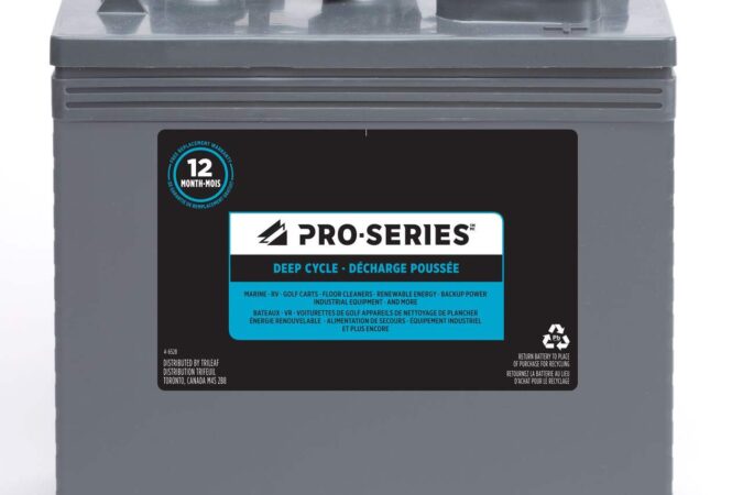 6 Volt Golf Cart Batteries​